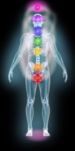 a human skeleton with light energy flowing from the chakras